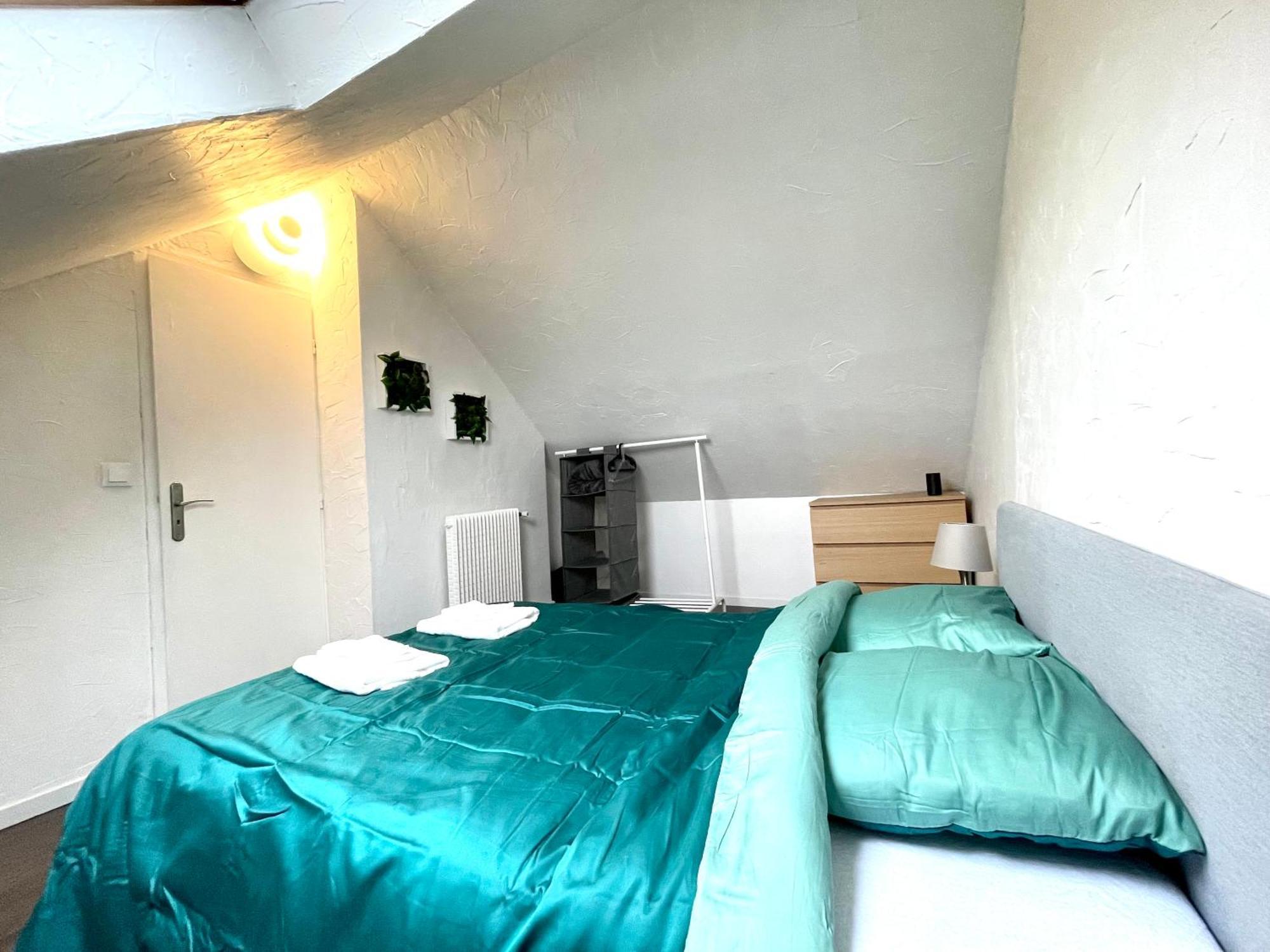 Appartement Duplex 90M2 - 3 Chambres - Mulhouse Kültér fotó