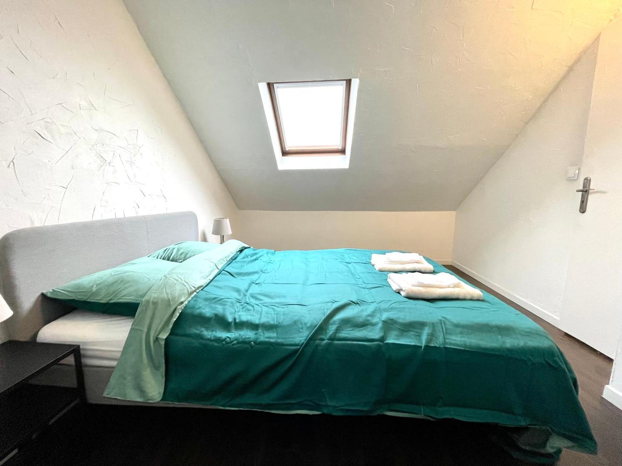 Appartement Duplex 90M2 - 3 Chambres - Mulhouse Kültér fotó